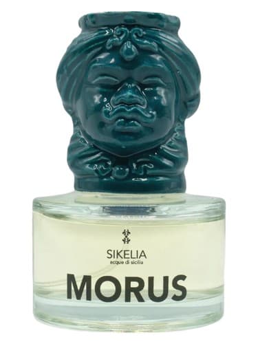 Morus - موروس