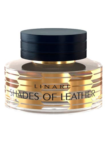 Shades of Leather - شدو های چرم
