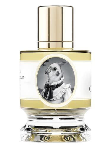 Cockatiel - کاکوتی