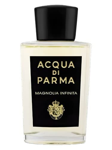 Magnolia Infinita