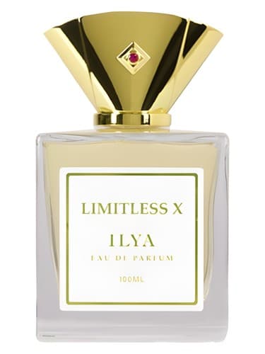 Limitless X - X بی حد و حصر