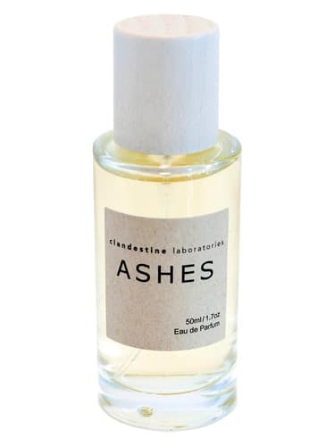 Ashes - خاکستر