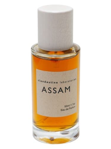 Assam - آسام