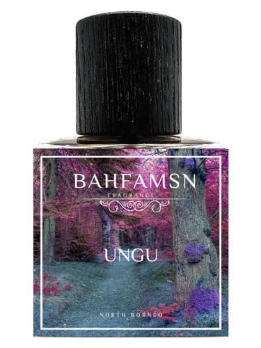 Ungu
