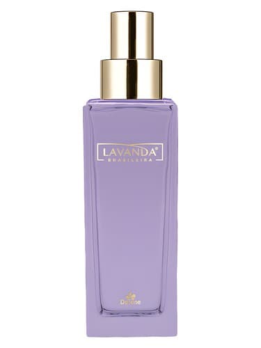 Lavanda Brasileira - لاواندا برازیلیرا