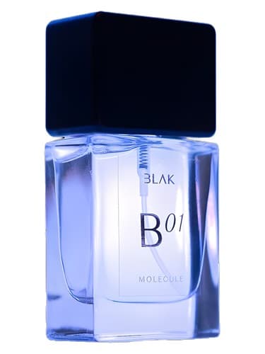 Molecule B 01 - مولکول B 01
