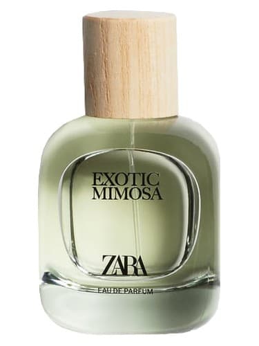 Exotic Mimosa - میموزای عجیب و غریب