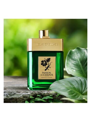 Passion De L'Amour Nouvelle Liaison Parfum - عطر ارتباطی Passion De L'Amour Nouvelle