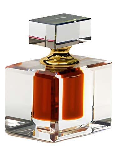 Amber - امبر