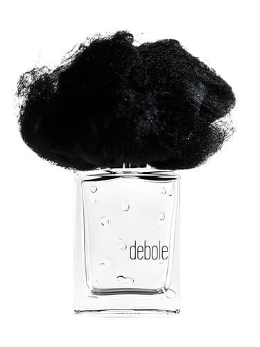 Pioggia Debole