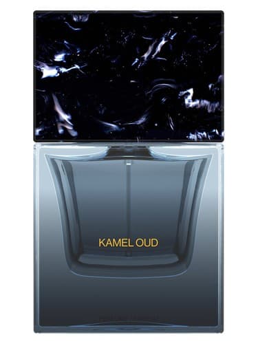 Kamel Oud - کامل عود