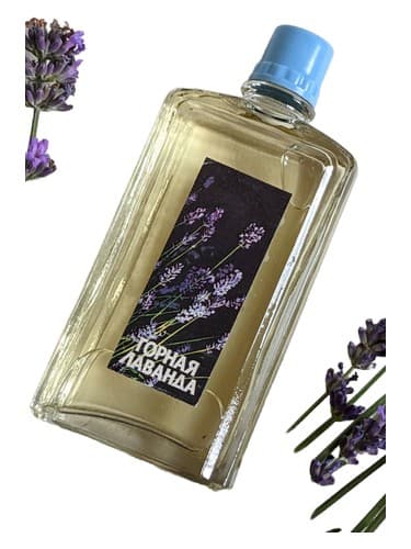 Горная лаванда (Mountain Lavender)