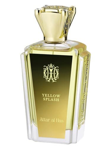 Yellow Splash - چلپ چلوپ یلو