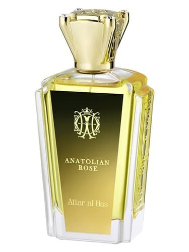Anatolian Rose - رز آناتولی