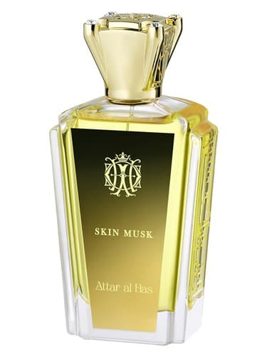 Skin Musk - مشک پوست