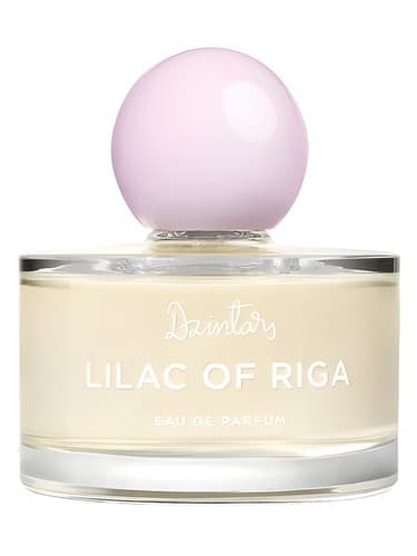 Lilac of Riga (Рижская Сирень, 2022)