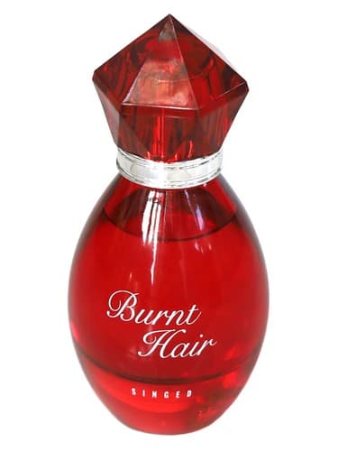 Burnt Hair - موهای سوخته