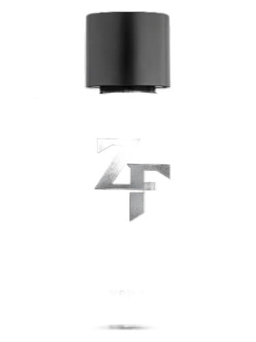 ZF Zé Felipe