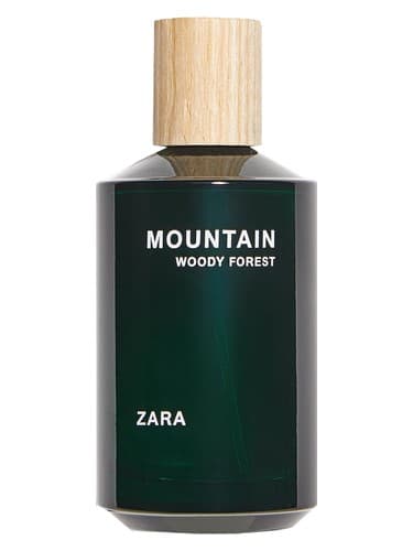 Mountain Woody Forest - جنگل وودی کوهستان