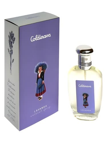 Lavanda Coldinava - لاواندا کولدیناوا