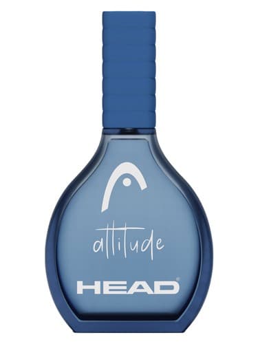 Attitude