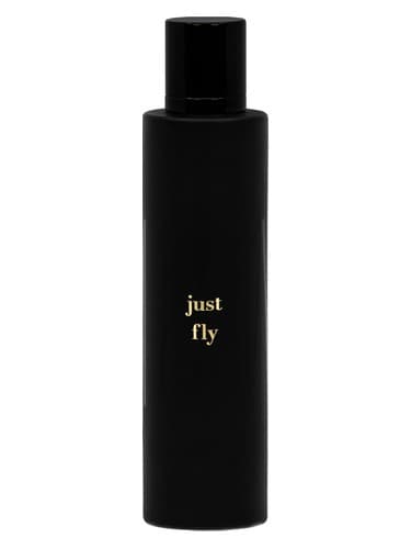 Just Fly - فقط پرواز کن