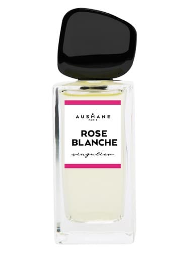 Rose Blanche - رز بلانچ