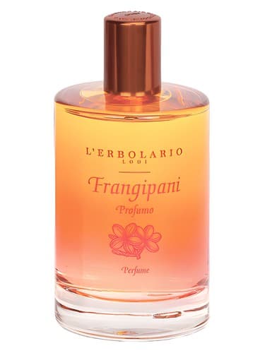 Frangipani