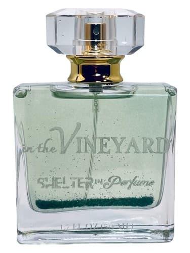 In The Vineyard - در تاکستان