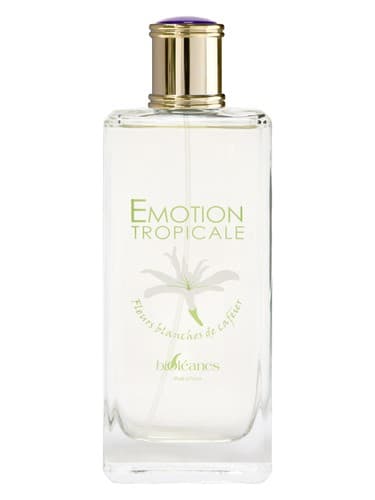 Emotion Tropicale - عاطفه گرمسیری