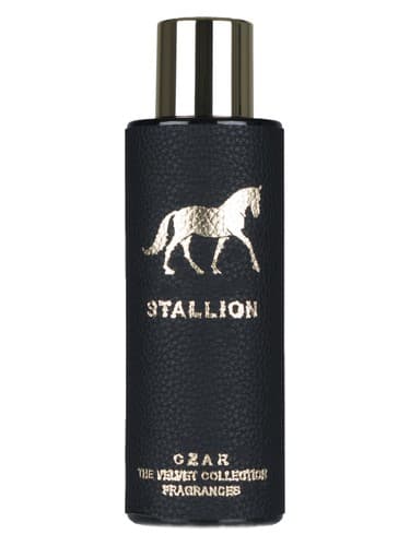 Stallion X Aslan Gülçiçek - نریان ایکس اصلان گولچیچک
