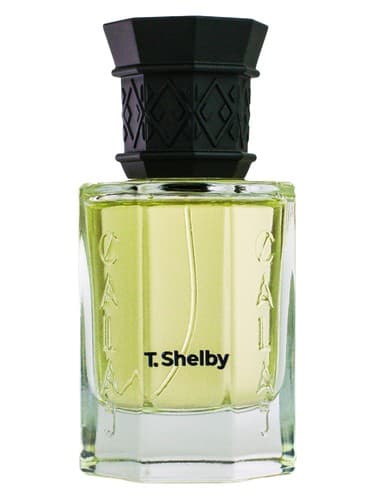 T. Shelby - تی شلبی