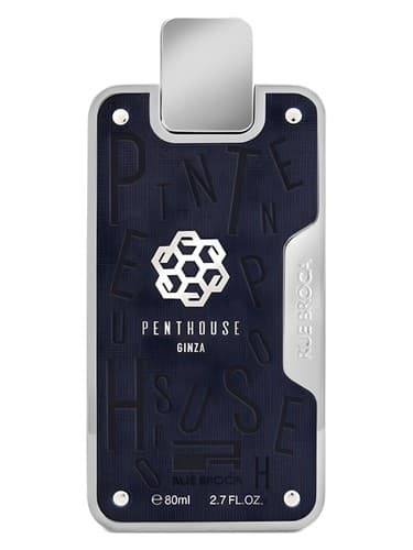 Penthouse Ginza