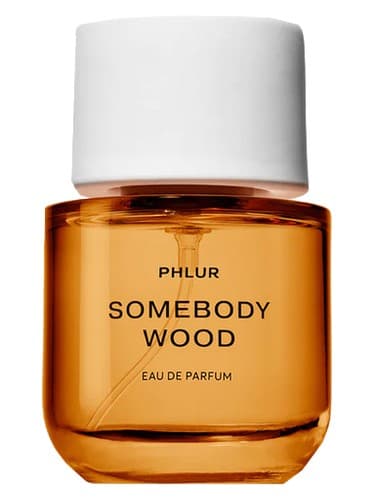 Somebody Wood - کسی وود