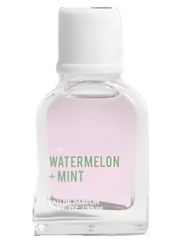 Watermelon + Mint