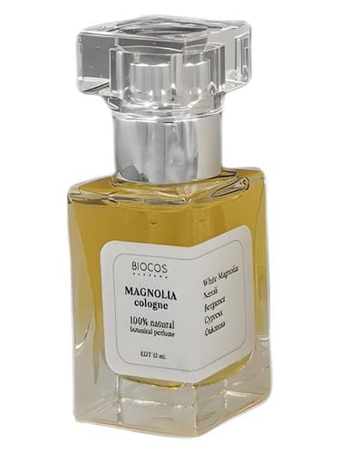 Magnolia - مگنولیا