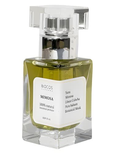 Mimosa - میموزا