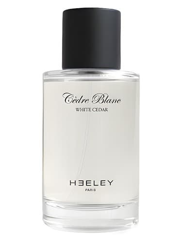 Cedre Blanc