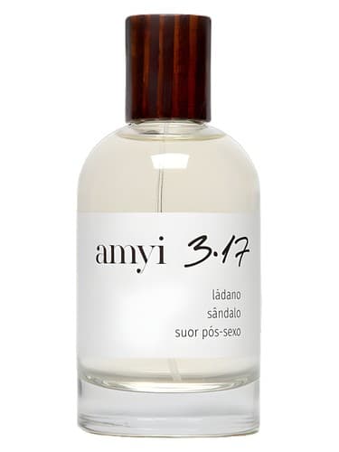 Amyi 3.17
