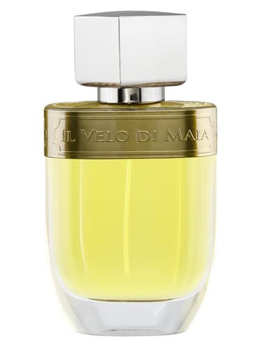 Il Velo di Maia