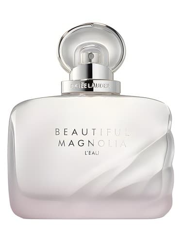 Beautiful Magnolia L'Eau