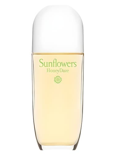 Sunflowers HoneyDaze - آفتابگردان هانی دیز