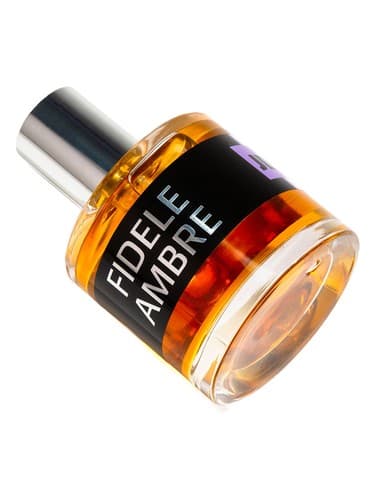 JD Fidele Ambre - جی دی فیدل آمبره