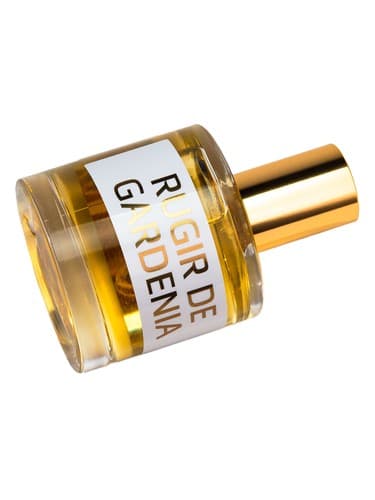 JD Rugir de Gardenia - جی دی روگیر د گاردنیا