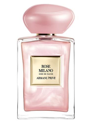 Rose Milano Soie de Nacre - رز Milano Soie de Nacre