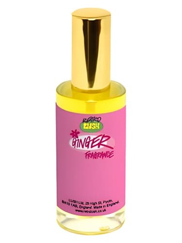Ginger - زنجبیل