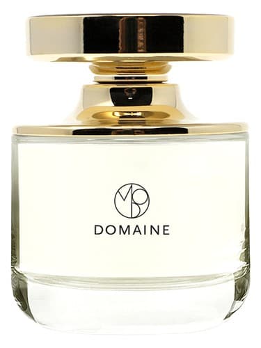 Domaine - دامنه