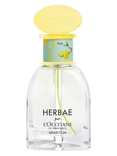 Herbae Spartium - هربا اسپارتیوم