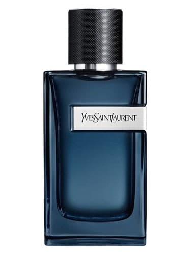 Y Eau de Parfum Intense - ادو پرفیوم اینتنس Y