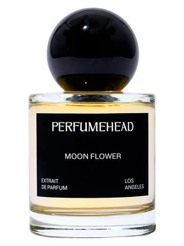 Moon Flower - گل مون
